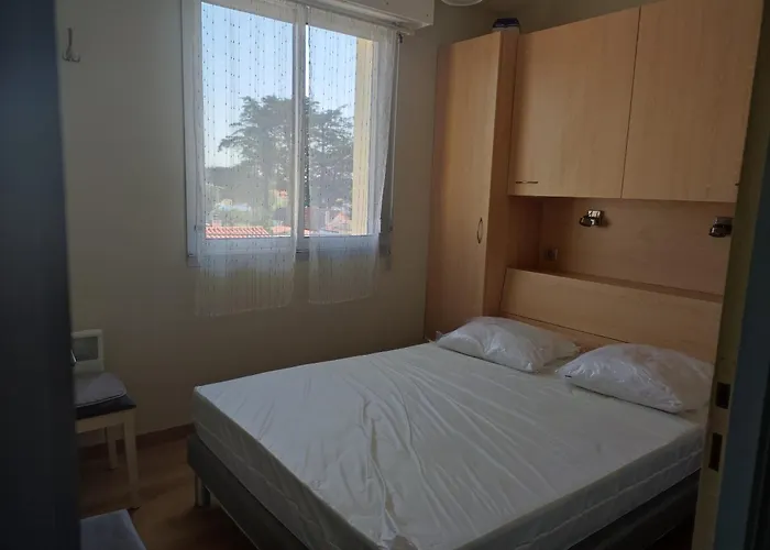 아파트 T2 450m De La Des Demoiselles, Avec Garage Et Possibilite De Velos A 950m De La Rue Pietonne *